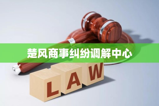 楚風商事糾紛調(diào)解中心破產(chǎn)清算服務(wù) 專業(yè)、高效、公正的債務(wù)解決方案